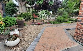 Coral Tree Guest Rooms